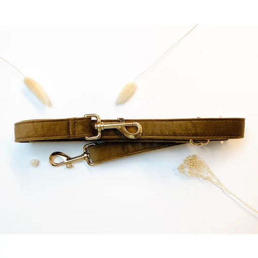 Laisse Multiposition Velours Marron