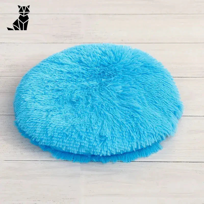 Rond lit pour petits animaux : une balle bleue moelleuse sur un sol en bois blanc