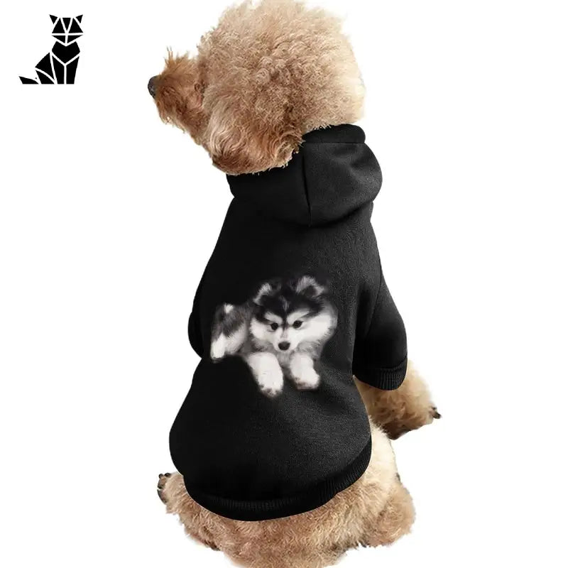 Chien en sweat à capuche noir - Manteau chaud et respirant pour animaux de compagnie, parfait pour les saisons froides