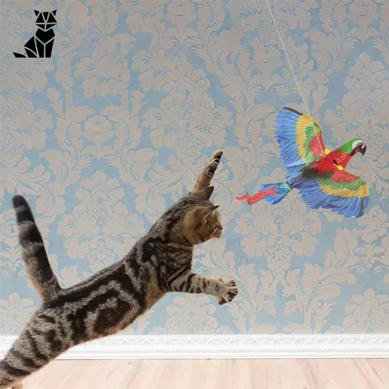 Chat s’amusant avec le cerf-volant ’Interactive Bird’, dites adieu à l’ennui, parfait pour votre chat dintérieur