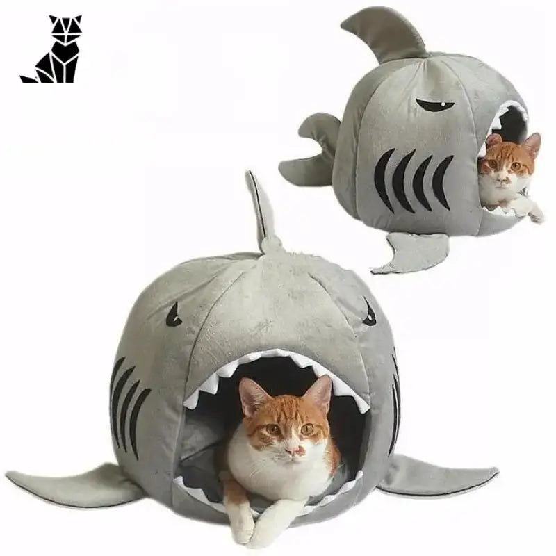Panier Requin Pour Chat Dur à Cuire: Un Lit D’aventure!