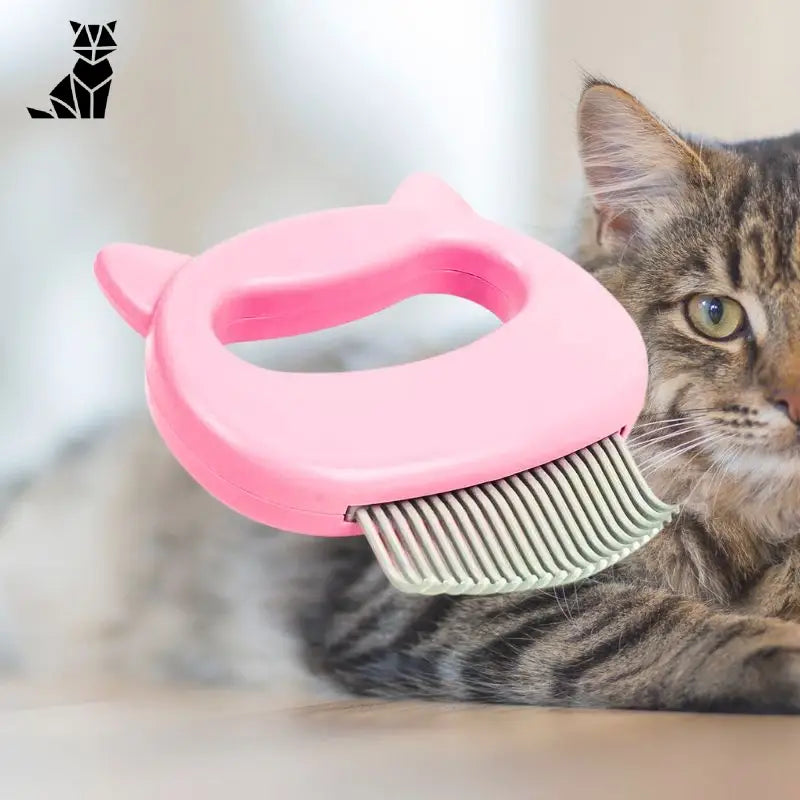 Peigne pour chat | MasseMiaou™