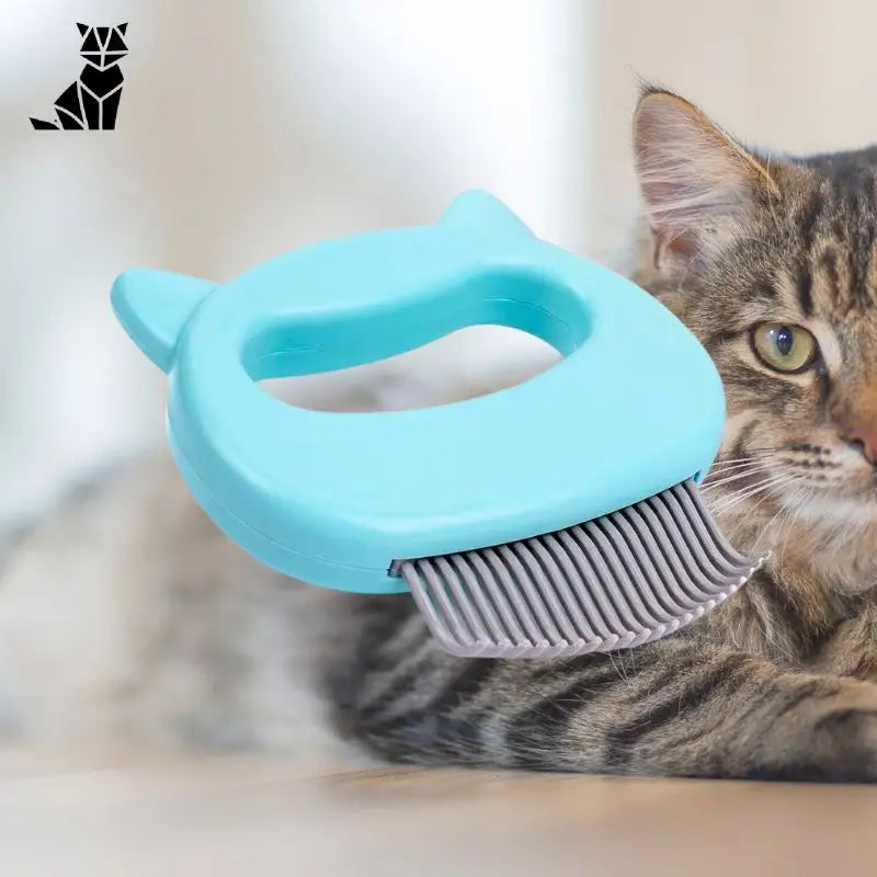 Peigne pour chat | MasseMiaou™