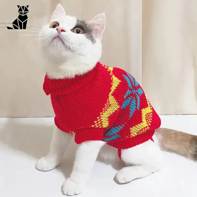 Chat en pull rouge et jaune festif - Pull de Noël pour chat : Winter Douceur