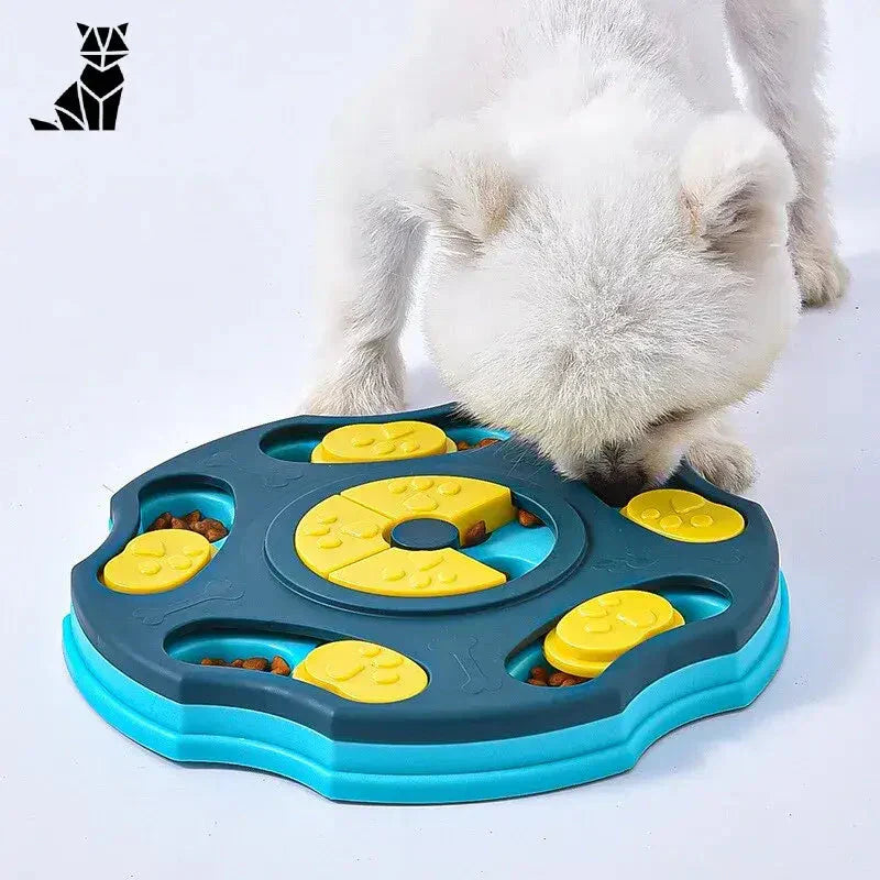 Chien profitant d’une mangeoire puzzle pour une stimulation mentale et une alimentation plus lente