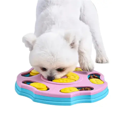Chien dégustant un repas dans une gamelle puzzle, favorisant la stimulation mentale Transparent Background