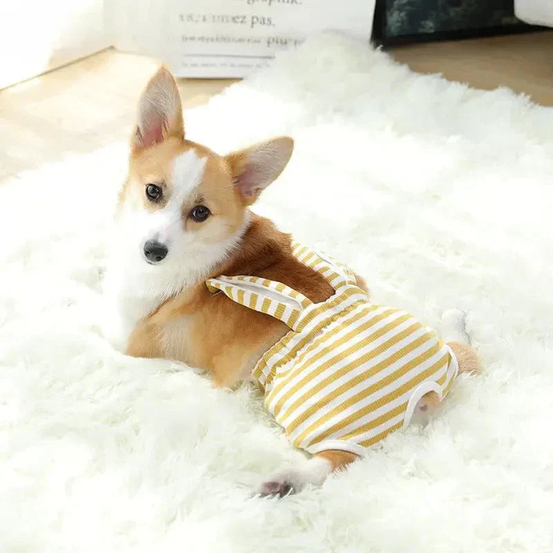 Petit chien en short physiologique lavable pour le style et le confort