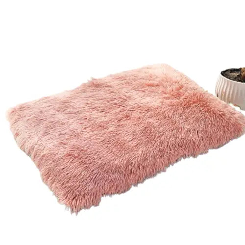 Tapis doux pour chien Transparent Background