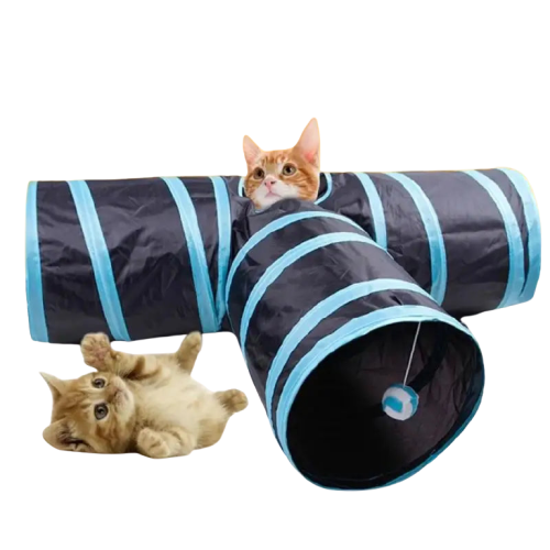 Tunnel pour chat | TunnelCat™ Transparent Background